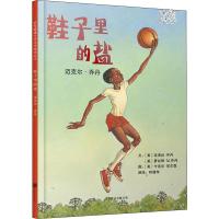 鞋子里的盐 迈克尔·乔丹