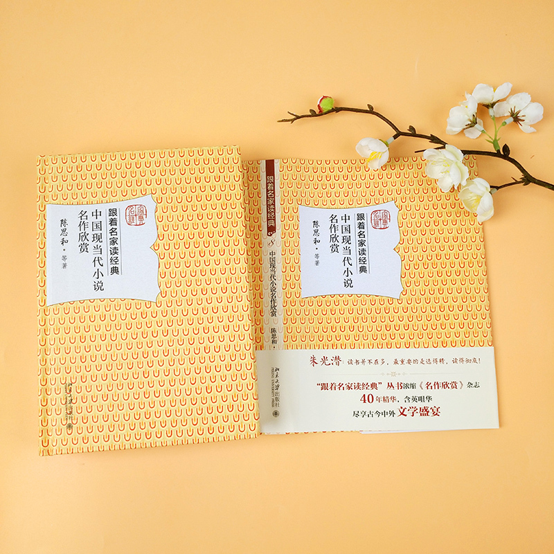 中国现当代小说名作欣赏 [正版]中国现当代小说名作欣赏 陈思和 跟着名家读经典系列 名家赏析 文学名作 文学普及读物 文