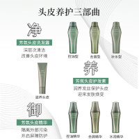 资生堂洗发水洗发露芳氛头皮控油丰盈蓬松保湿清爽洗头膏持久留香-250ml