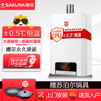 樱花(Sakura)12升燃气热水器JSQ24-813 CO安防 天然气 支持智能恒温 不支持浴室安装