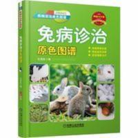 兔病诊治原色图谱 养兔技术书 兔病防治书 养兔技术 科学养兔子 兔病诊治原色图谱