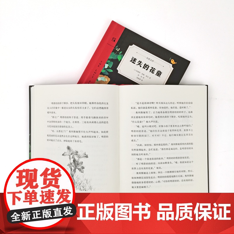 迷失的花童(奇想文库)纽伯瑞儿童文学奖得主匠心独运之作,美国图书馆协会童书奖,美国《学校图书馆杂志》年度图书高清大图