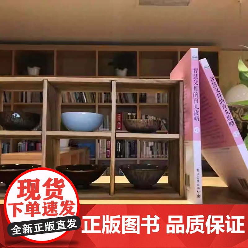 智慧父母的育儿攻略:父母与孩子互动的实操手册高清大图