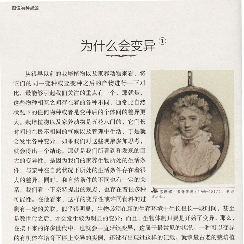 [正版]加厚彩图版物种起源/达尔文经典译林系列图书青少年文学世界名著书籍达尔文进化论自然科学科普百科全书课外书初中课外阅高清大图