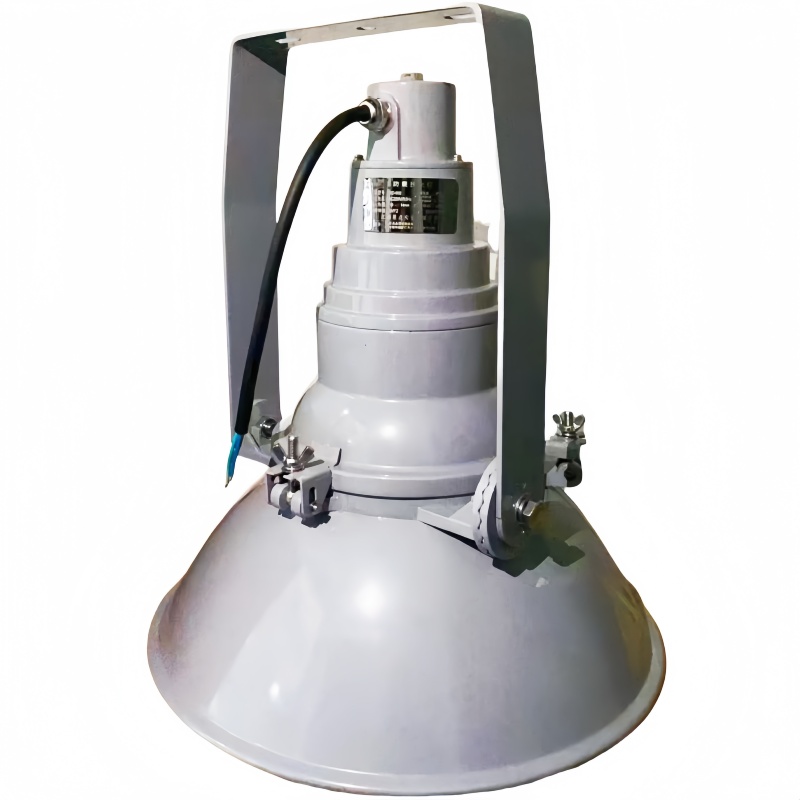 XD JX.XINGDIAN 超强防震型投光灯 XD-900 400W高清大图