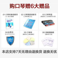 天鹅S3系列精制24孔复音口琴 专业24孔口琴 三色可选 儿童初学 成人自学 老师教学口琴天鹅24孔S3口琴54