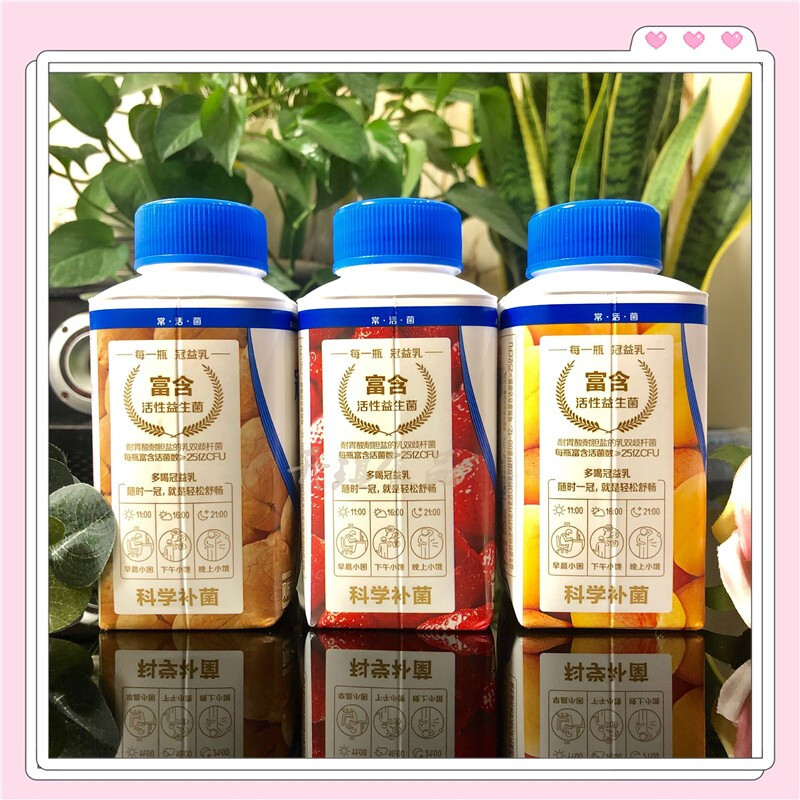 蒙牛 酸 奶(低温)