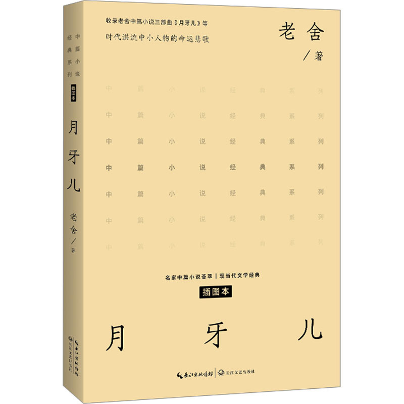 长江文艺出版社文集报价_参数_图片_视频_怎么样_问答-苏宁易购