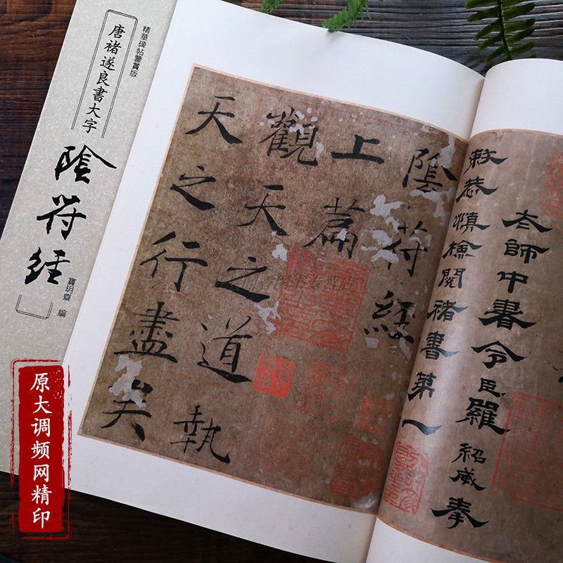 [正版]唐褚遂良书大字阴符经 精华碑帖鉴赏版 原大原迹高清拍摄彩色