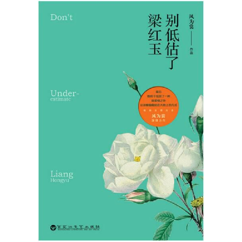 诺森别低估了梁红玉风为裳9787550011366百花洲文艺出版社