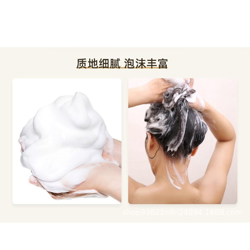 琴叶生姜防脱发控油洗发水姜汁增发去屑止痒洗发露姜王育发