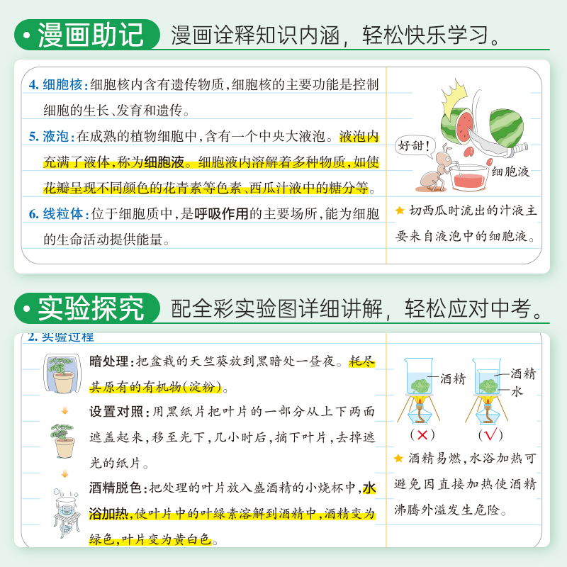 道德与法治 初中通用 [正版]2025版学霸笔记初中生物基础知识讲解知识点清单手写课堂笔记漫画图解pass绿卡图书七八年高清大图