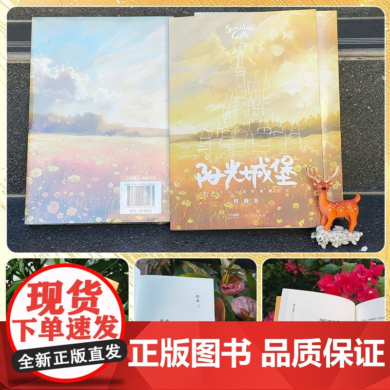 阳光城堡 校园青春文学情感与成长的故事 言情现代文学小说 高中生初中生课外书广东人民出版社高清大图