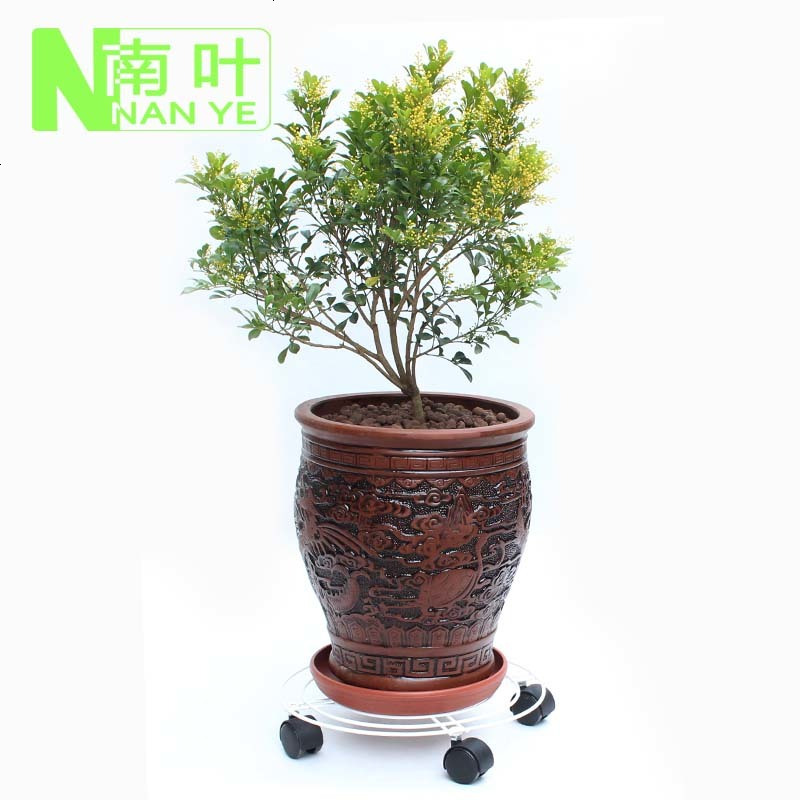 移动花架 移动铁架 花盆托盘 花盆底座 移动托盘 2个包邮