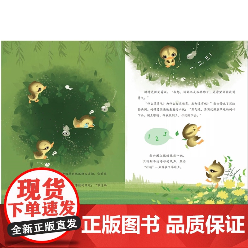 家门口的野生动物朋友 寻找勇气——嗨,鸟儿朋友高清大图