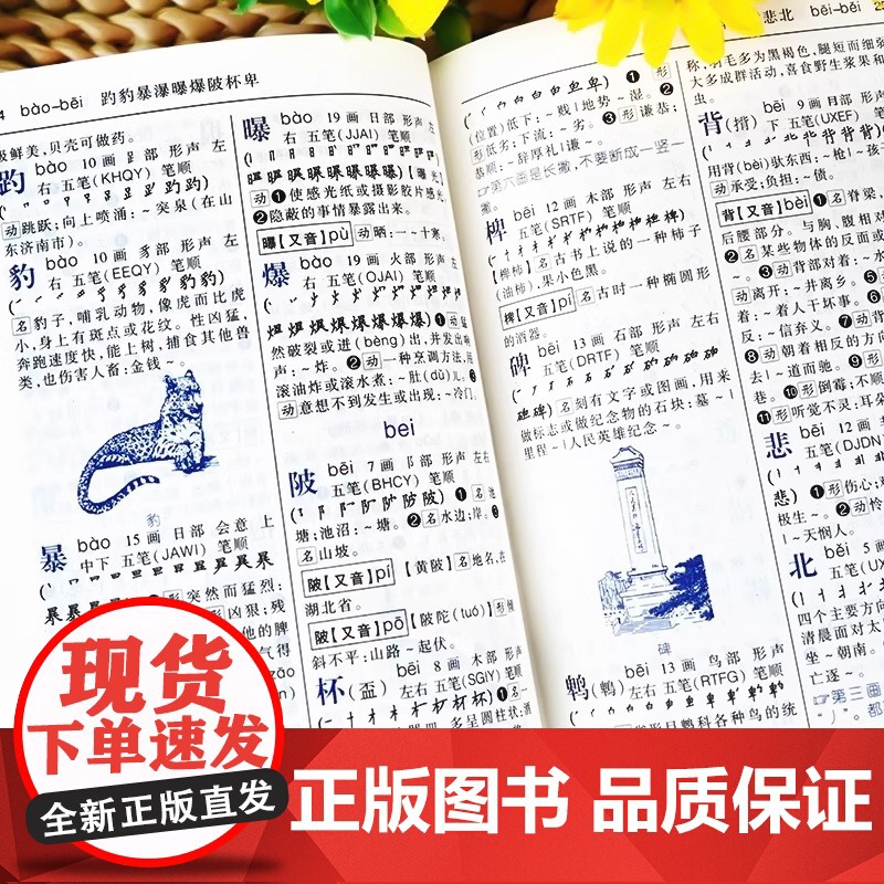 正版2025新版 学生实用新华字典第6版 小学生1-6年级新编多功能辞典拼音工具书初中生现代汉语词典成语非第12最新版第高清大图