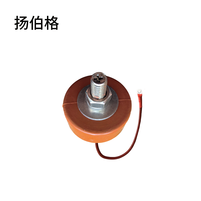 扬伯格 防护器 400/10带尾线 组高清大图
