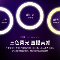火豹手机直播支架三脚架带补光灯多机位拍摄懒人支架桌面拍照设备全套主播户外多功能落地式可伸 1.7米支架-送手机座