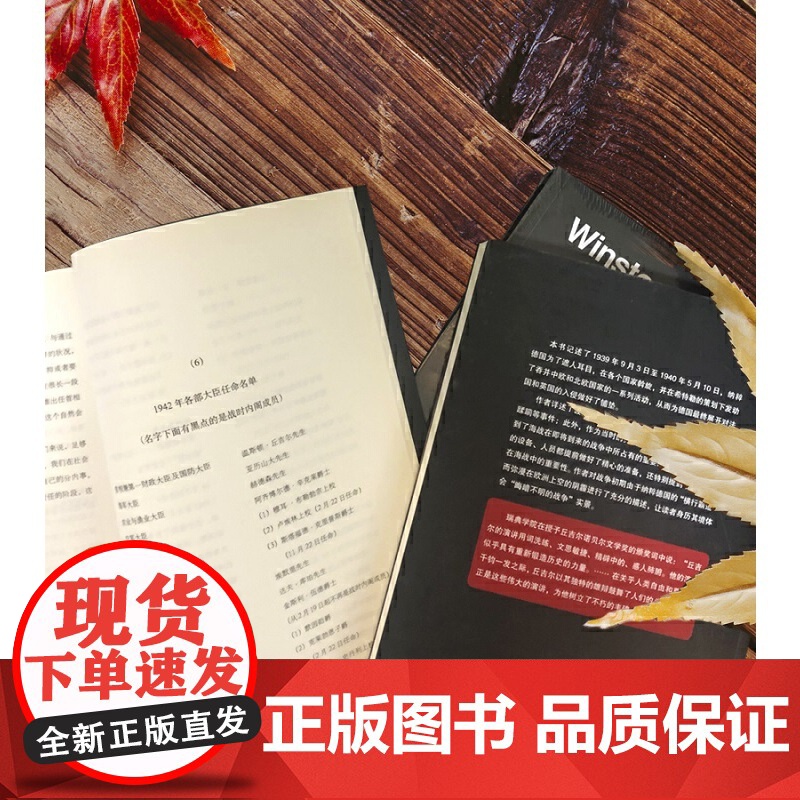 丘吉尔第二次世界大战回忆录03:法国的沦陷高清大图