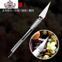封后(FENGHOU)封后多肉植物头刀嫁接刀扦插多肉工具十二卷分株专用水仙刻刀园艺园艺刀/剪/锯铲/叉/耙/锄