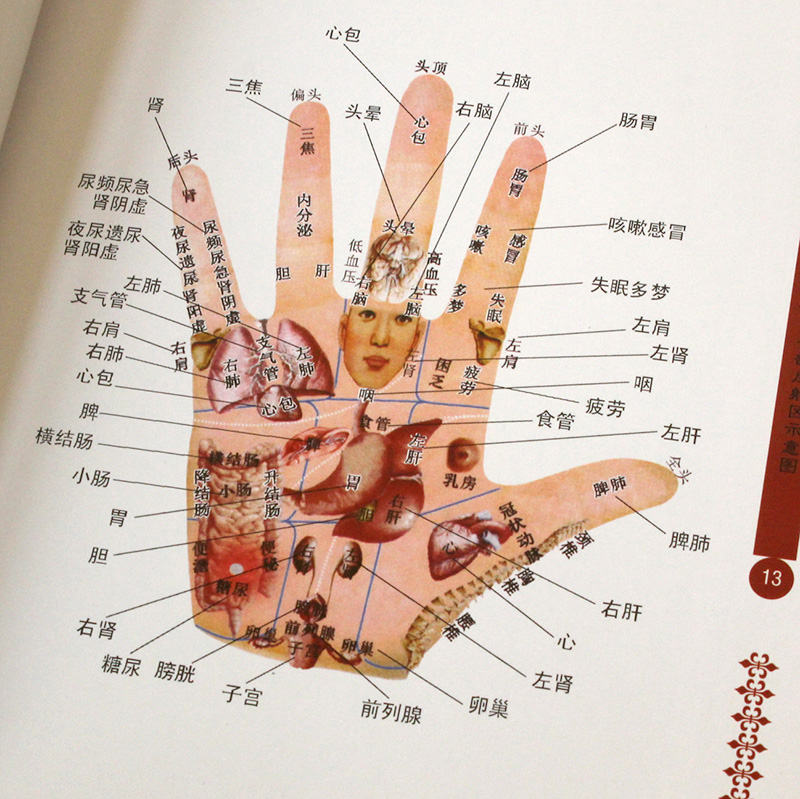 [醉染正版]图解手部穴位按摩疗法彩图文版精装 手部穴位按压疗法手部诊病按摩方法及操作手法 家庭自疗中医养生保健书籍 中医高清大图