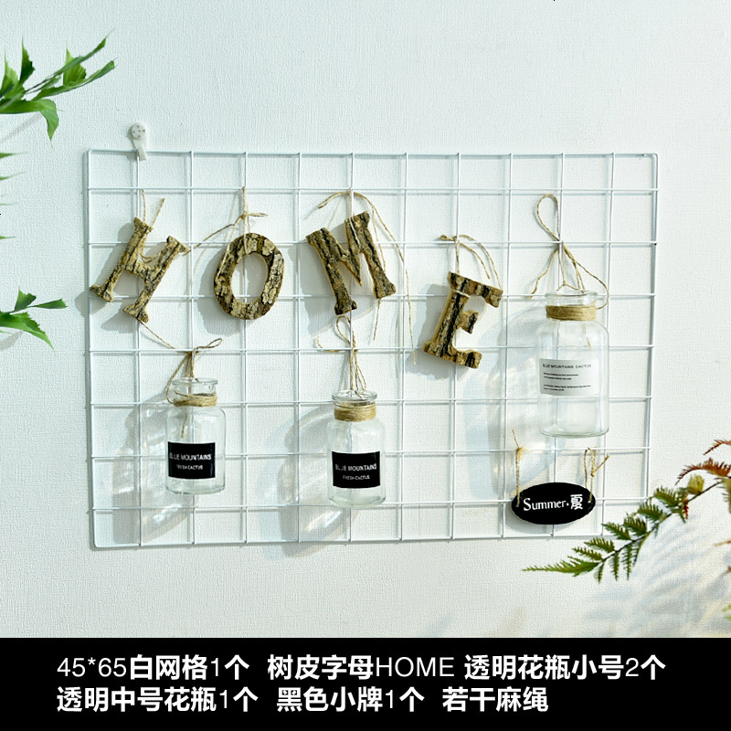 北欧简约创意铁艺网格水培植物挂饰客厅阳台绿植墙面装饰品壁饰