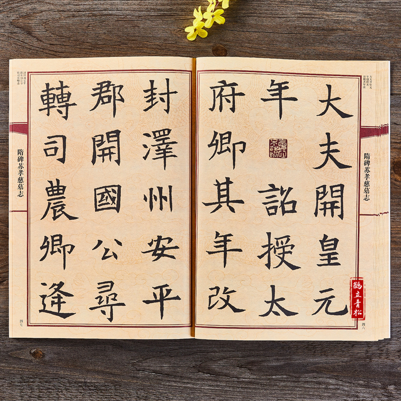 [正版]隋碑苏孝慈墓志 大八开苏孝慈墓志全文 中国历代名碑名帖放大本系列 成人毛笔楷书书法帖字帖附简体旁注 黑龙江美术