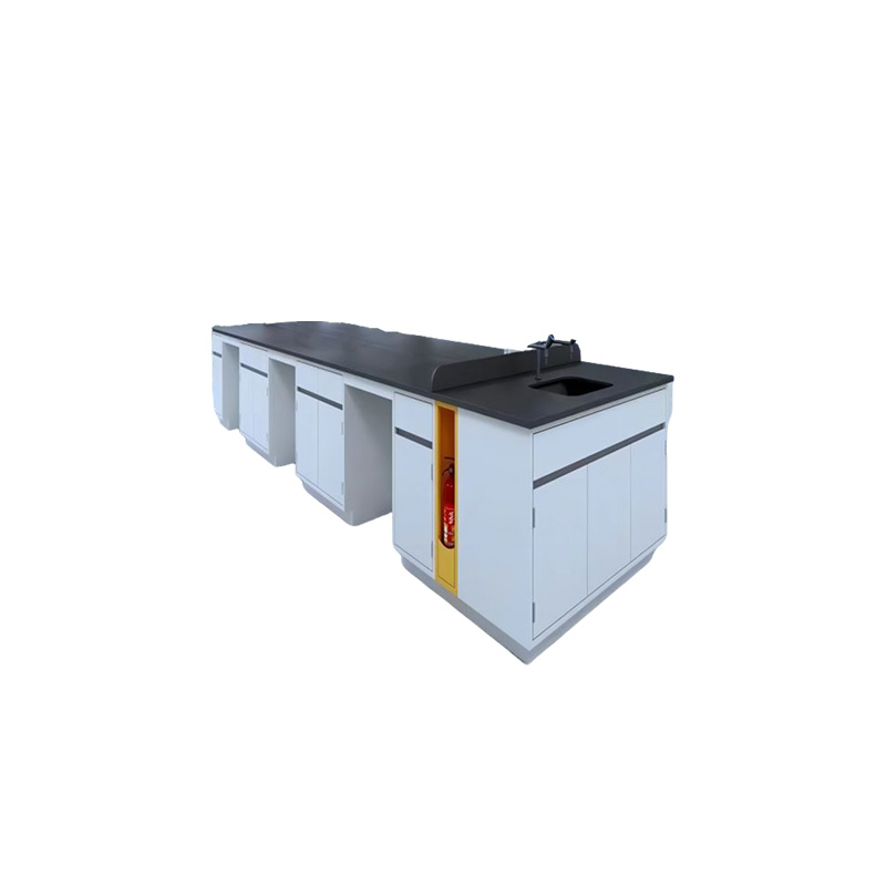 鑫导 实验台 SYT243-钢木吊柜定制 米高清大图