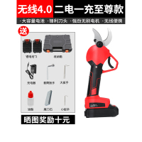 电动剪阿斯卡利刀果树充电式修枝剪强力园林园艺剪树枝锂电高空粗枝电剪子 4.0公分二电- -充至尊款