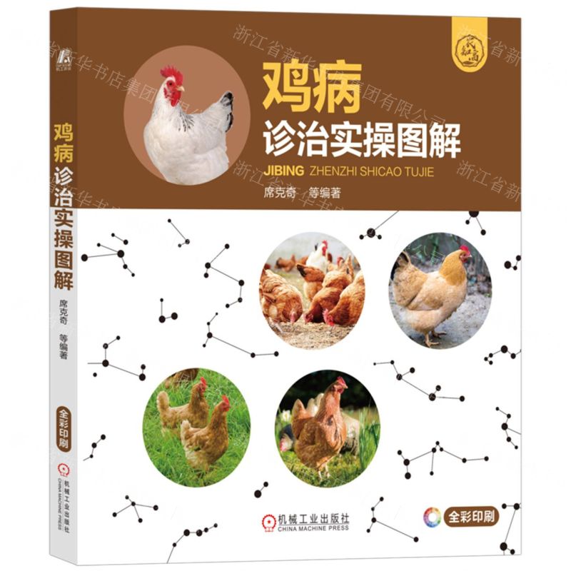 [N]鸡病诊治实操图解(全彩印刷)-9787111737759高清大图