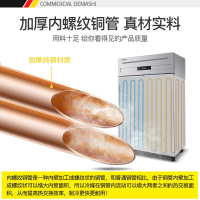德玛仕商用四门冰柜全铜管立式冷柜不锈钢冰箱厨房四开门冰箱 (豪华款)四门全冷藏全铜管BG-900C-1D