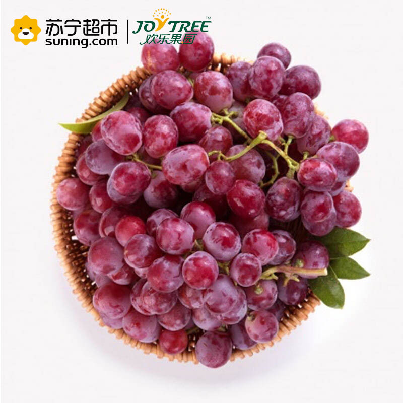 欢乐果园 云南宾川红提 500g装
