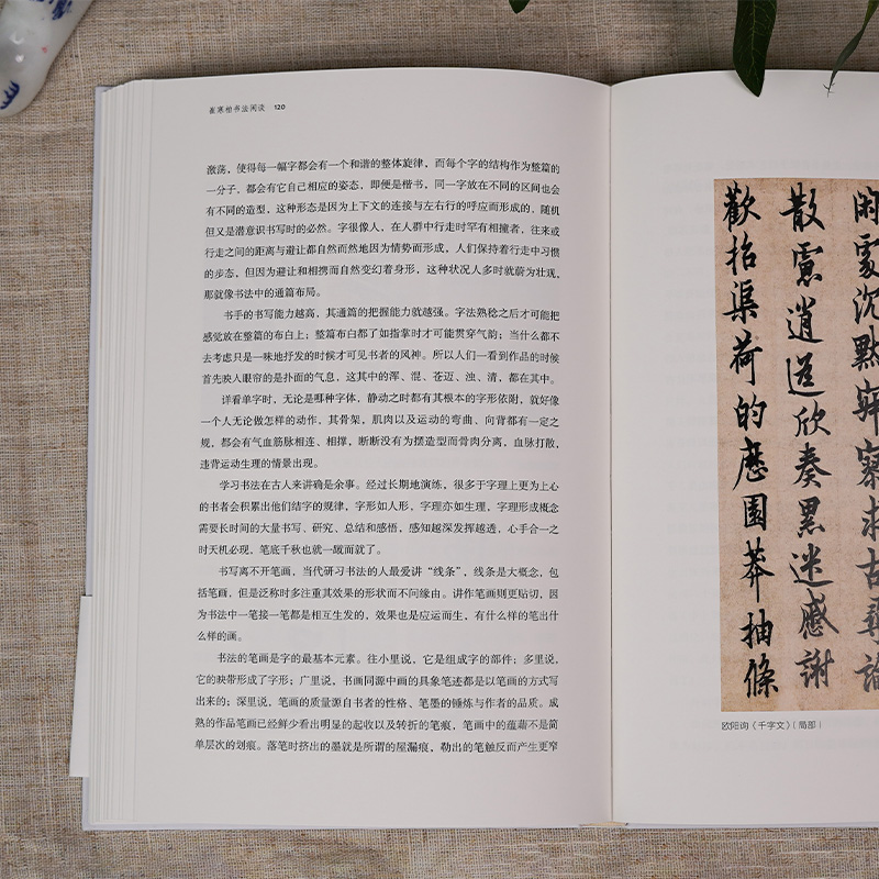 [正版]旗舰 崔寒柏书法闲谈(四海艺林) 当代著名书法家崔寒柏书法随笔文集 一位书法实践者数十年思想的灵光乍现艺术史理高清大图