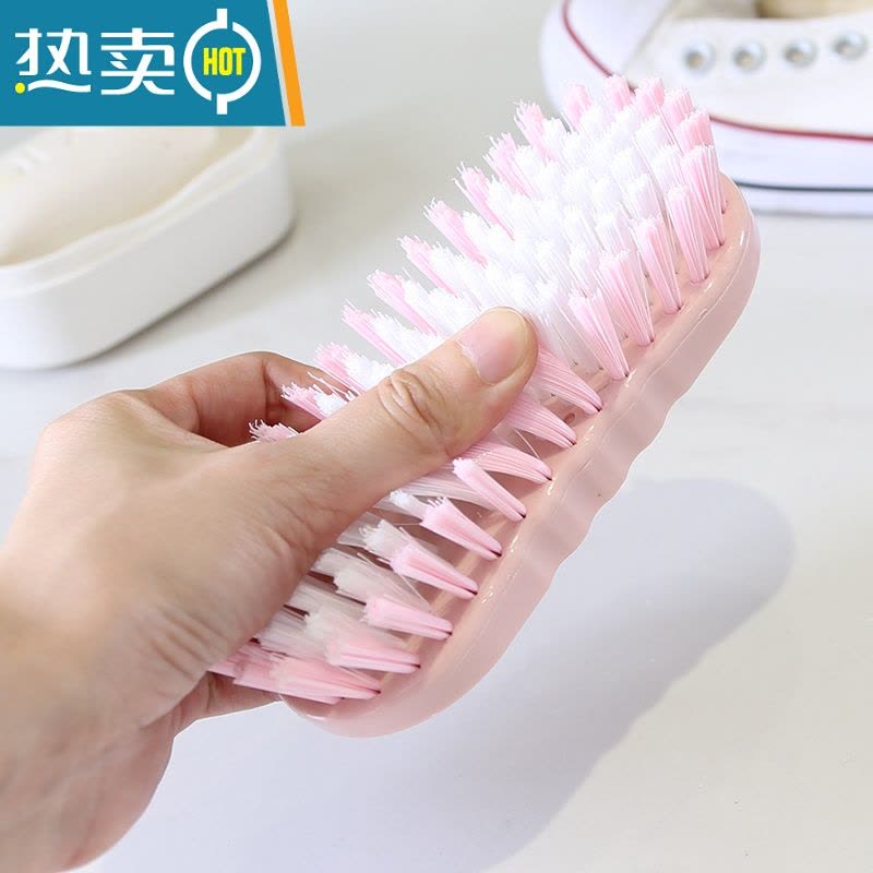 敬平刷子清洁鞋刷塑料毛刷硬毛家用洗衣服的板刷洗鞋刷洗衣刷 白色(小)图片