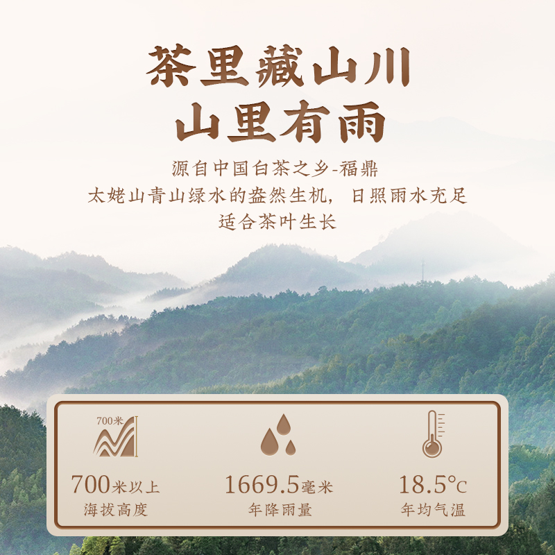 茶马世家2015年福鼎铂金寿眉小方片礼盒装180g(30g*6盒)高清大图