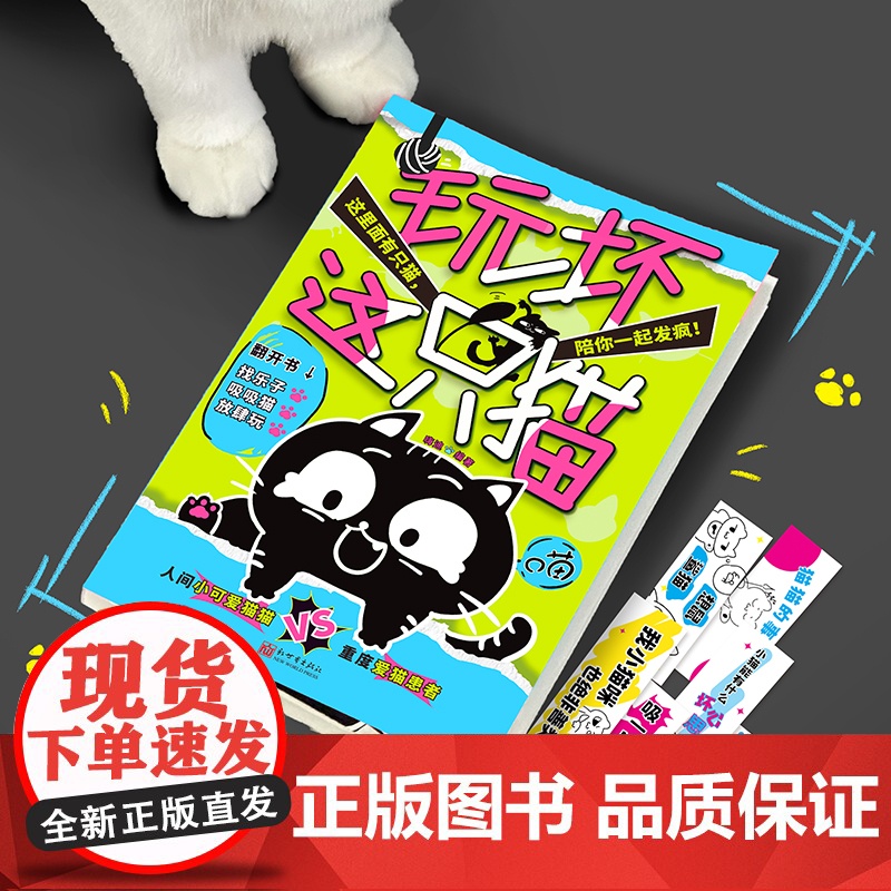 西西弗书店 玩坏这只猫趣玩类搞怪创意书籍 集合手工、生活、DIY等各种形式 100种云养猫也可以玩起来的创意玩法高清大图