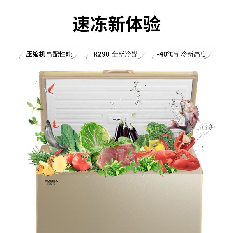 澳柯玛BC/BD-203FNE家用小冰柜减霜超低温速急冻零下-40度冷冻柜