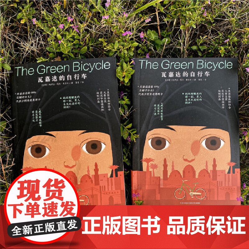 瓦嘉达的自行车 经典儿童成长励志故事书 国际大奖文学电影小说读物睡前故事文学读物 正版书籍 帮助孩子更好学习高清大图