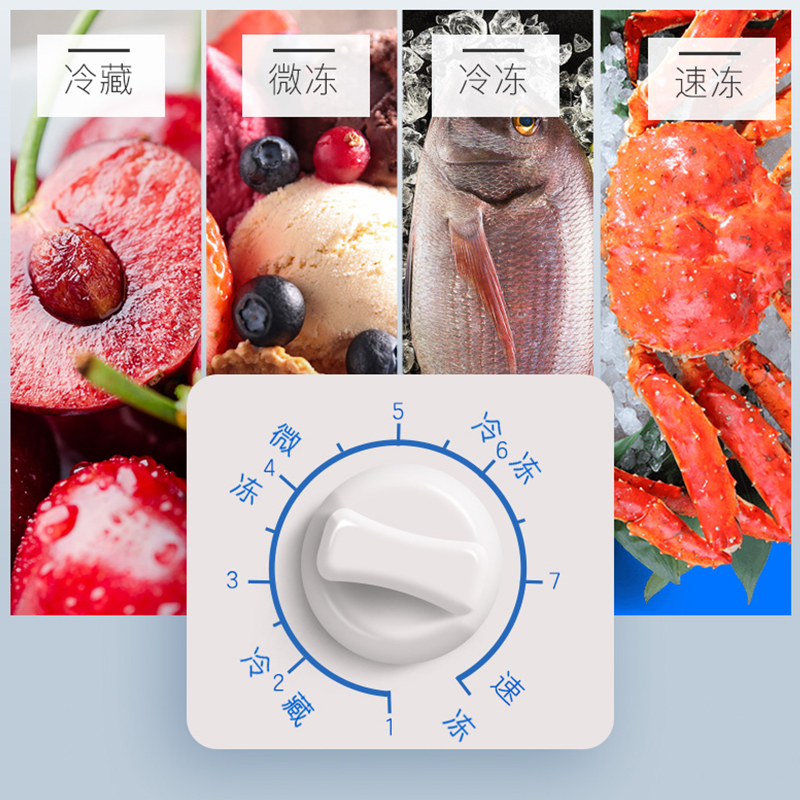 新飞(FRESTEC) 300升大容量冰柜冷柜家用商用冰箱冷冻节能冷藏卧式冷冻柜BC/BD-300KHAT
