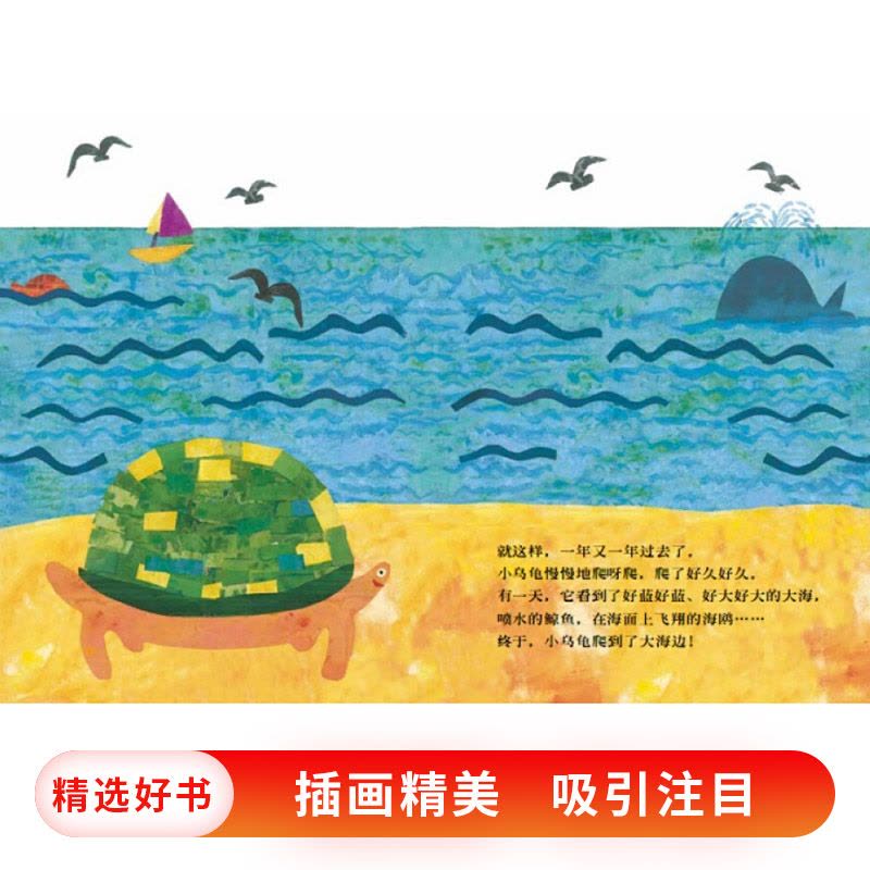 单本全册 [正版]信谊原创系列想看海的乌龟硬壳精装图画书适合2岁以上亲子阅读童书图片