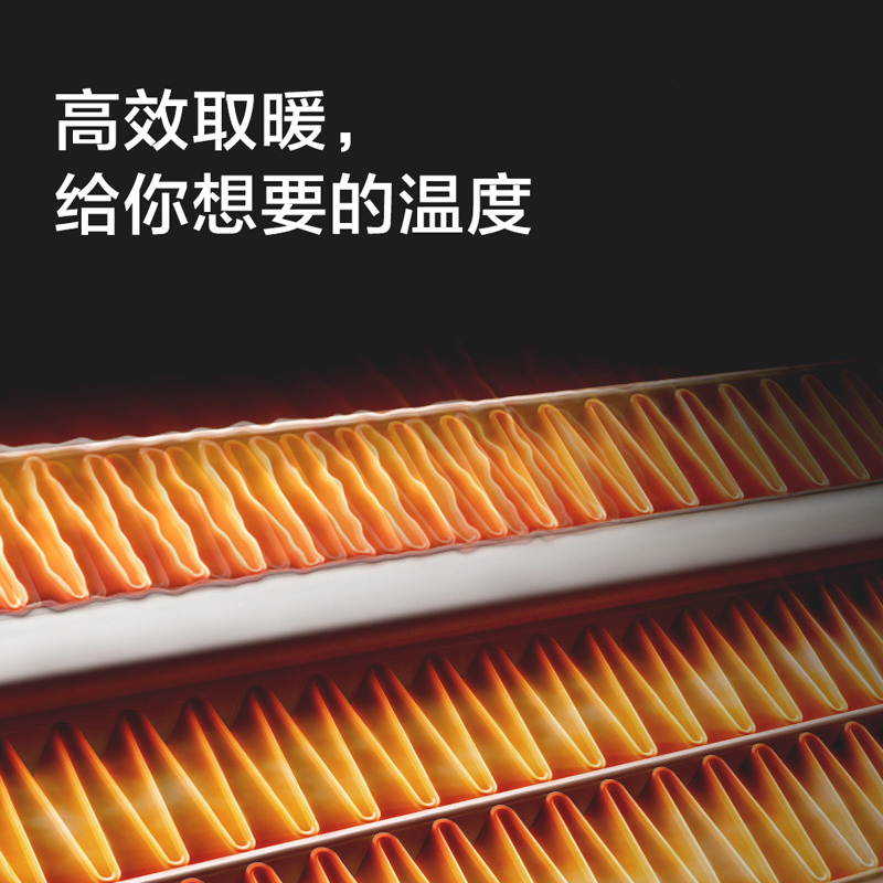 奥普(AUPU)风暖型浴霸 自营集成吊顶式E265 卫生间浴室暖风机浴霸灯 暖风模块