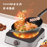 澳柯玛电磁炉