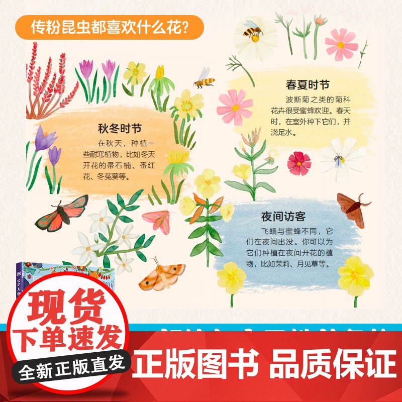 DK万物生长的秘密 英国DK公司,莉薇·高斯林 DK出品,绝美花园里的32节自然课!在动手实践中成为生物小专家、园艺小达高清大图