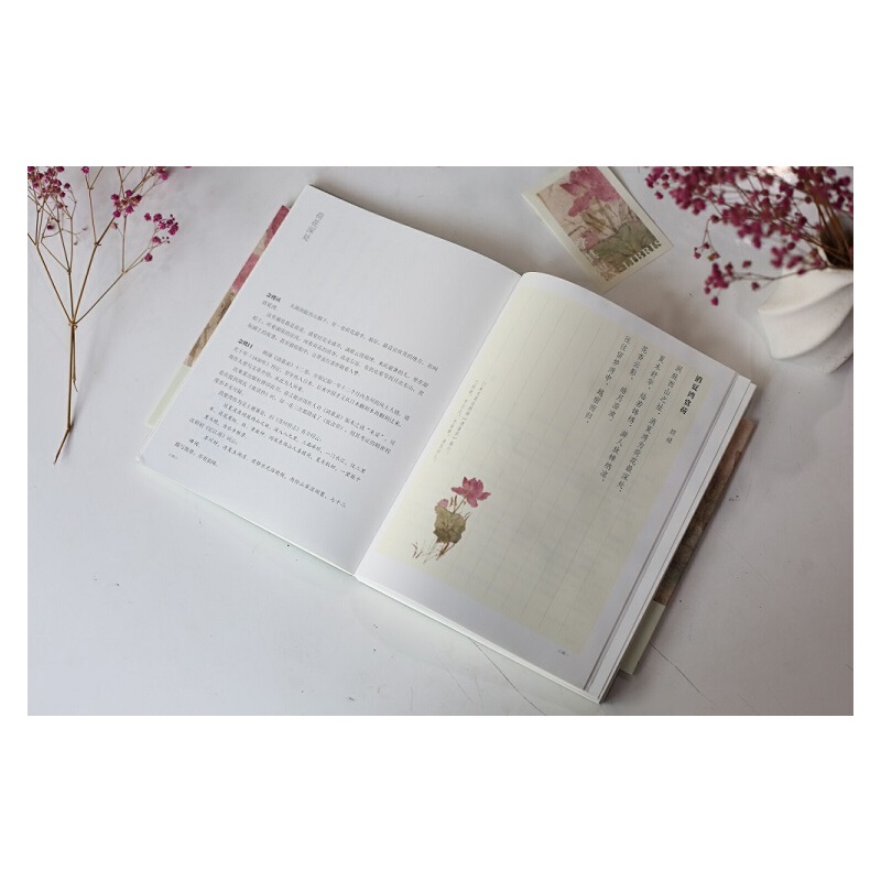 [正版]学其短画本 精装书 10-17岁钟叔河著 蔡皋绘小学初高中学校老师青少年读物古文入门读本扫码听朗读中国儿童文学高清大图