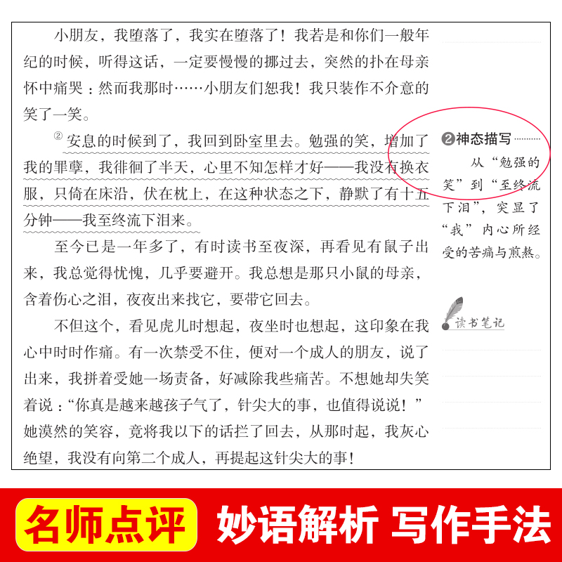 小桔灯 [单本]冰心原著完整版 [正版]繁星春水 冰心儿童文学全集 寄小读者 小桔灯散文集精选小学生三四五年级课外书非必高清大图
