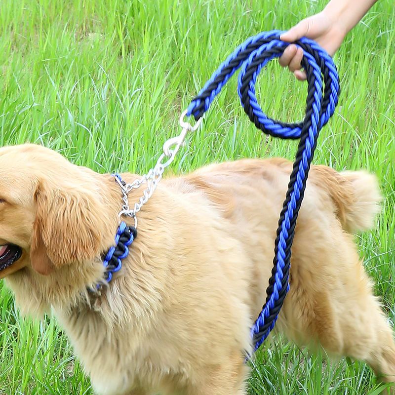 狗绳狗狗用品牵引绳狗链子小型犬中型大型犬金毛泰迪狗绳子遛狗绳黑加蓝l型号 适合38 60斤 报价 参数 图片 视频 怎么样 问答 苏宁易购