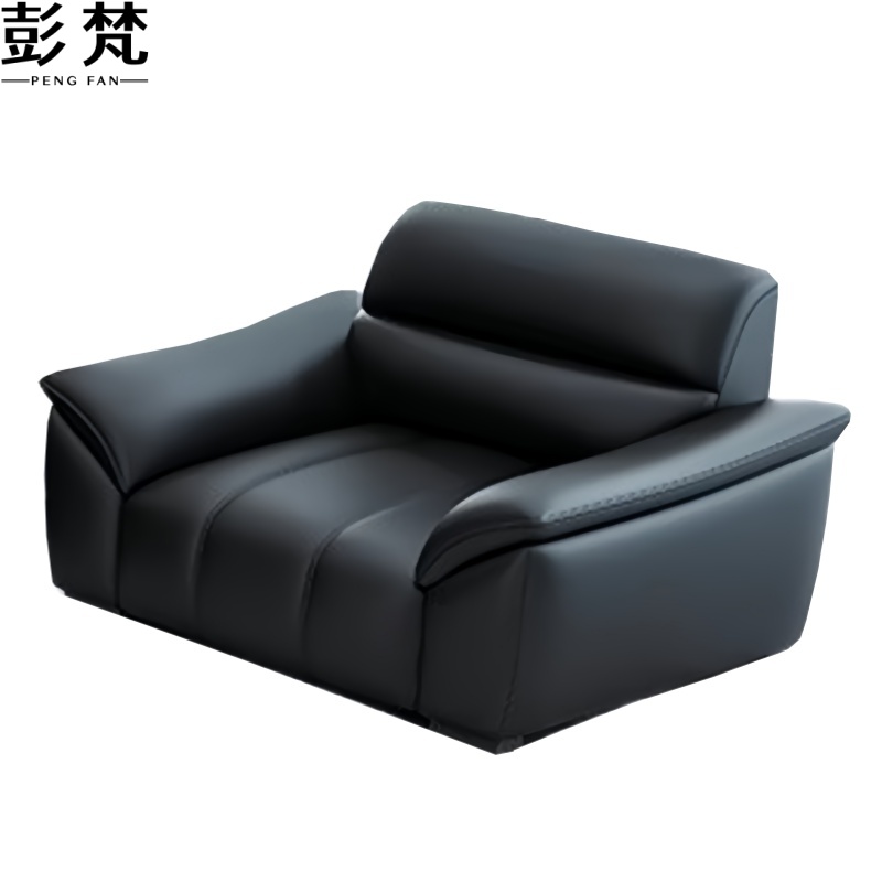 彭梵洽谈沙发高清大图