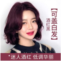 一洗彩染发剂自已在家染2020流行色洗黑遮白发染发膏 葡萄红(盖白发)