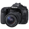佳能(Canon) EOS 80D(18-55mm STM) 配件套装 数码单反相机 单镜头套装 约2420万像素