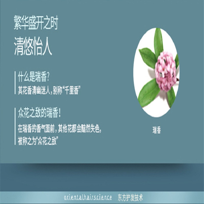 LG生活健康睿嫣清幽瑞香护发素